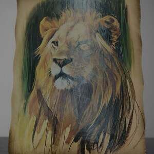 Unsigned Lion Portrait - Donald Art Collection